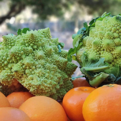 Col ecologica Col ecologica