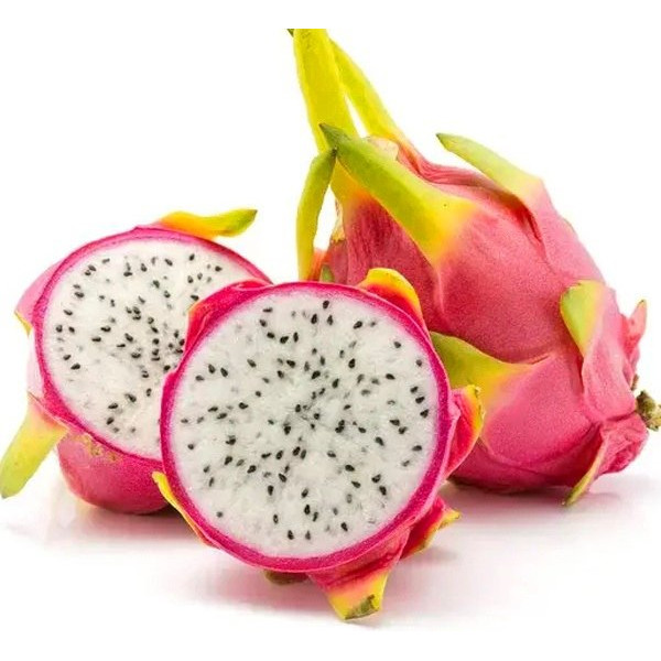 Pitaya Hylocereus Undatus | Costaricensis