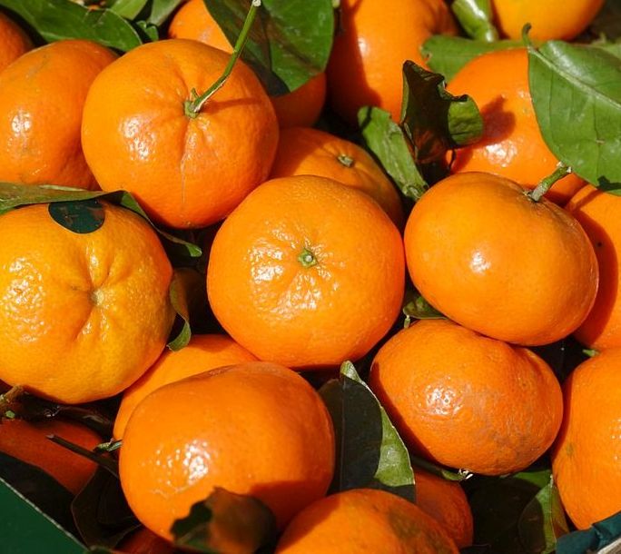 Mandarinas ecológicas de Valencia